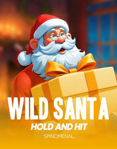 Wild Santa - Hold and Hit